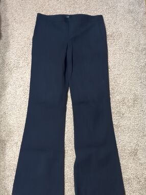 Banana Republic Women's 10 Long Navy Chinos
